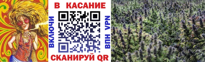 Магазины продажи наркотиков Калуга СК  НБОМе  Мефедрон  Гашиш  Бошки Шишки  MDMA 