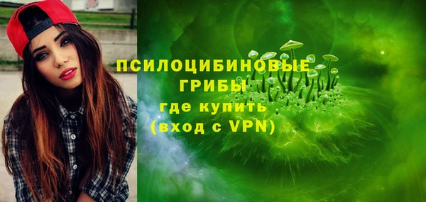 mdpv Белокуриха