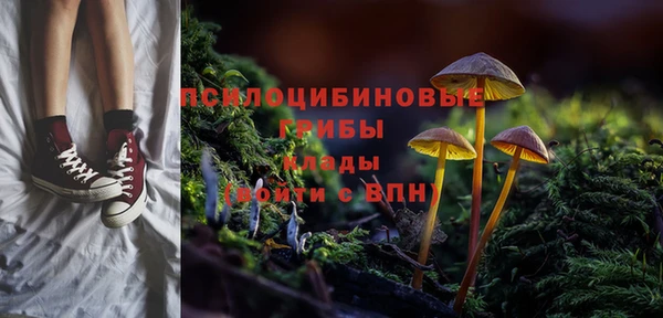 mdpv Белокуриха