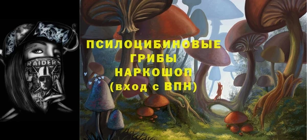 mdpv Белокуриха