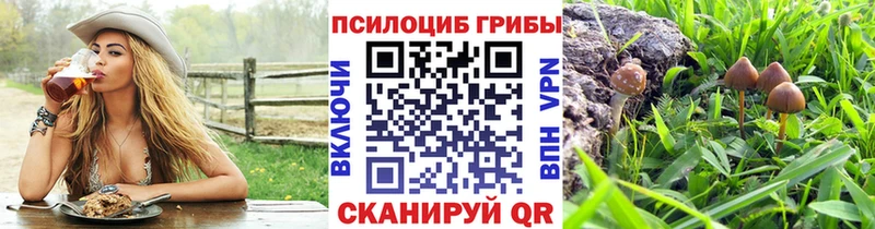 Галлюциногенные грибы Magic Shrooms  Калуга 