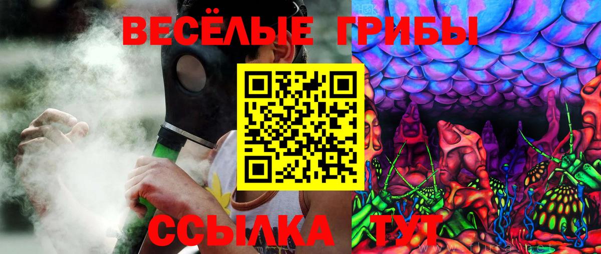 Калуга  цены   Вход с VPN  Псилоцибиновые грибы Psilocybe 