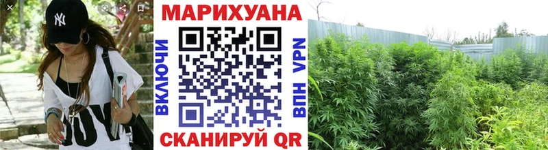 Конопля ГИДРОПОН  Калуга 